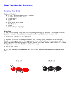 Make your own ant sculptures