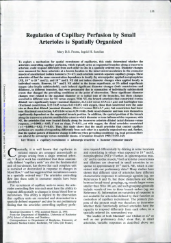 Arterioles is Spatially Organized