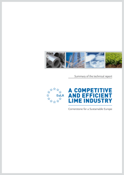 a competitive and efficient lime industry