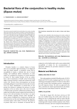 Bacterial flora of the conjunctiva in healthy mules (Equus mulus)