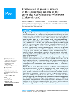 Proliferation of group II introns in the chloroplast genome