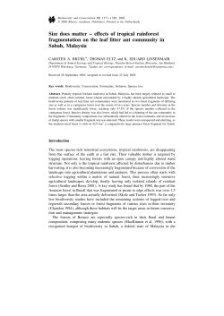 Size does matter &ndash; effects of tropical rainforest fragmentation on the