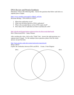DNA Review and Protein Synthesis