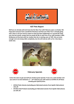 H2T Pets Report February Specials