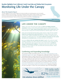Kelp and Shallow Rock Snapshot Report