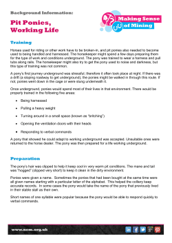 Pit Ponies, Working Life - National Coal Mining Museum for England