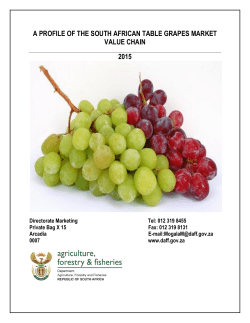 Table grape market value chain profile 2015