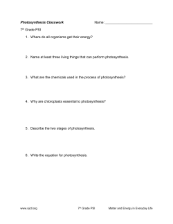 7th Grade PSI 1. Where do all organisms get their energy?