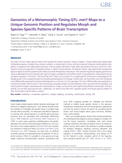 met1 Maps to a Unique Genomic Position and Regulates Morph and