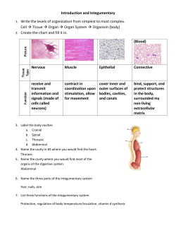 Introduction and Integumentary 1. Write the levels of organization