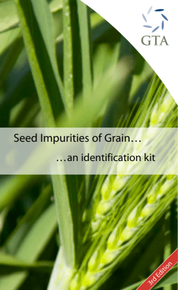 Seed Impurities of Grain&hellip;