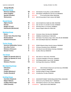 Sunday - Foy Trent Dog Shows