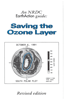 Saving the Ozone Layer