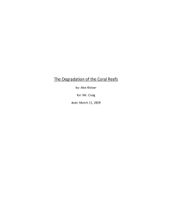 The Degradation of the Coral Reefs