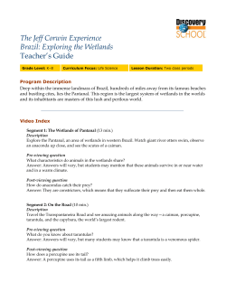 The Jeff Corwin Experience