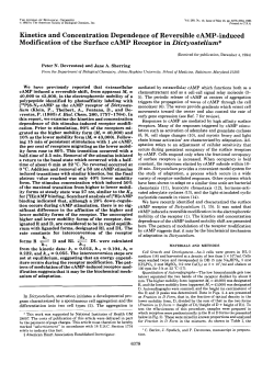 PDF Version