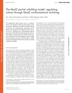 The Mad2 partial unfolding model: regulating mitosis through Mad2