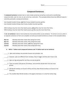 Lesson 13: Compound Sentences