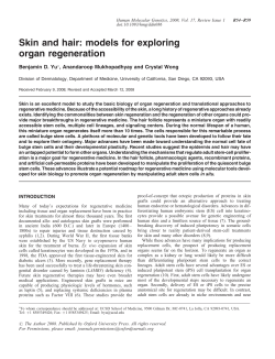 Skin and hair: models for exploring organ
