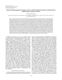 Historical Biogeography, Divergence Times, and Diversification