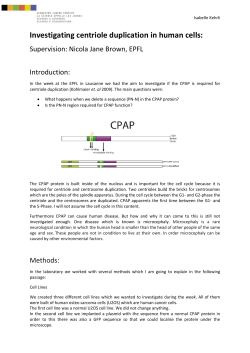 Investigating centriole duplication in human cells