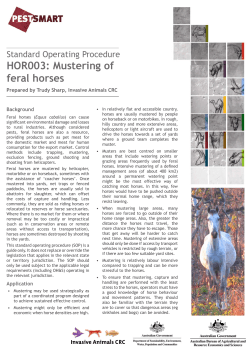 HOR003: Mustering of feral horses