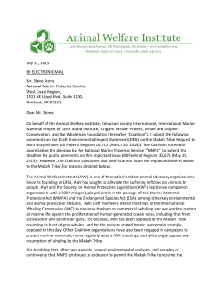 July 31, 2015 BY ELECTRONIC MAIL Mr. Steve Stone National