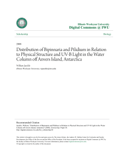 Distribution of Bipinnaria and Pilidium in Relation to Physical