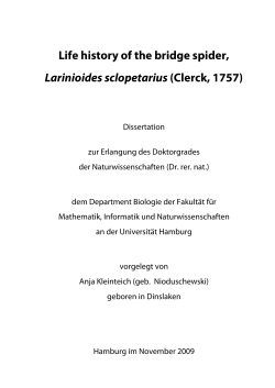 Life history of the bridge spider, Larinioides sclopetarius (Clerck, 1757)