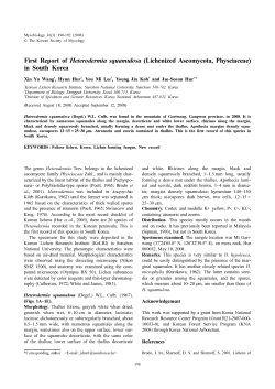 First Report of Heterodermia squamulosa (Lichenized Ascomycota