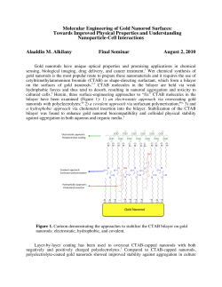 Molecular Engineering of Gold Nanorod Surfaces: Towards