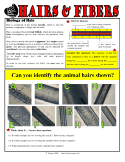 Biology of Hair - The Science Spot