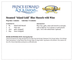 Steamed &ldquo;Island Gold&rdquo; Blue Mussels with Wine