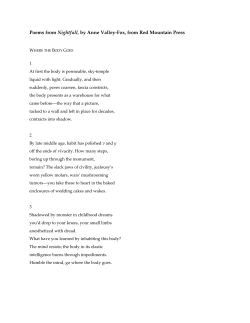 Poems from Nightfall, by Anne Valley