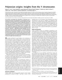 Polynesian origins: Insights from the Y chromosome