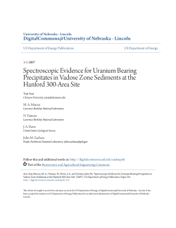 Spectroscopic Evidence for Uranium Bearing Precipitates in Vadose