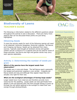 the Biodiversity of Lawns Teacher`s Guide PDF