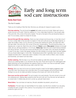 Early and long term sod care instructions
