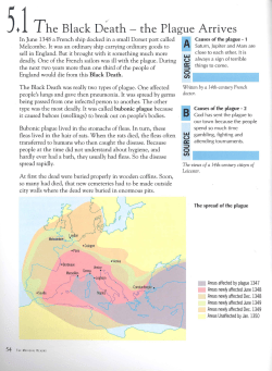 The Black Death Notes