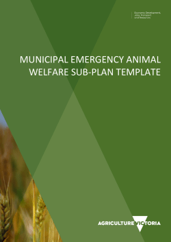 municipal emergency animal welfare sub-plan template