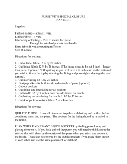 PURSE WITH SPECIAL CLOSURE NAN RICH