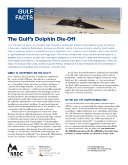 The Gulf`s Dolphin Die-Off