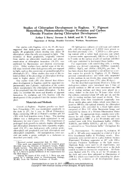 Studies of Chloroplast Development in Euglena