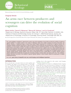 An arms race between producers and scroungers