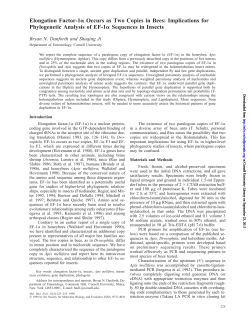 Elongation Factor-1 Occurs as Two Copies in Bees