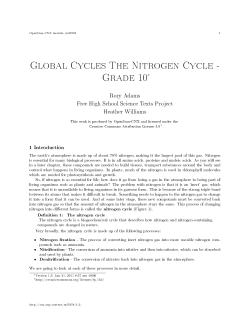 Global Cycles The Nitrogen Cycle - Grade 10