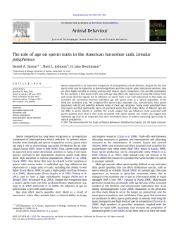 The role of age on sperm traits in the American horseshoe crab