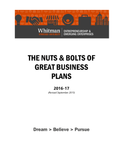 Nuts and Bolts of Business Plans