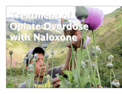 Opiate OD Prevention/Intervention Training -