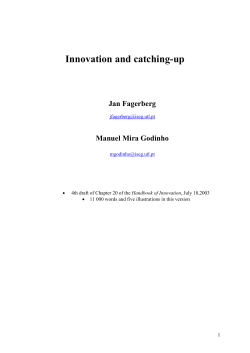 Innovation and catching-up